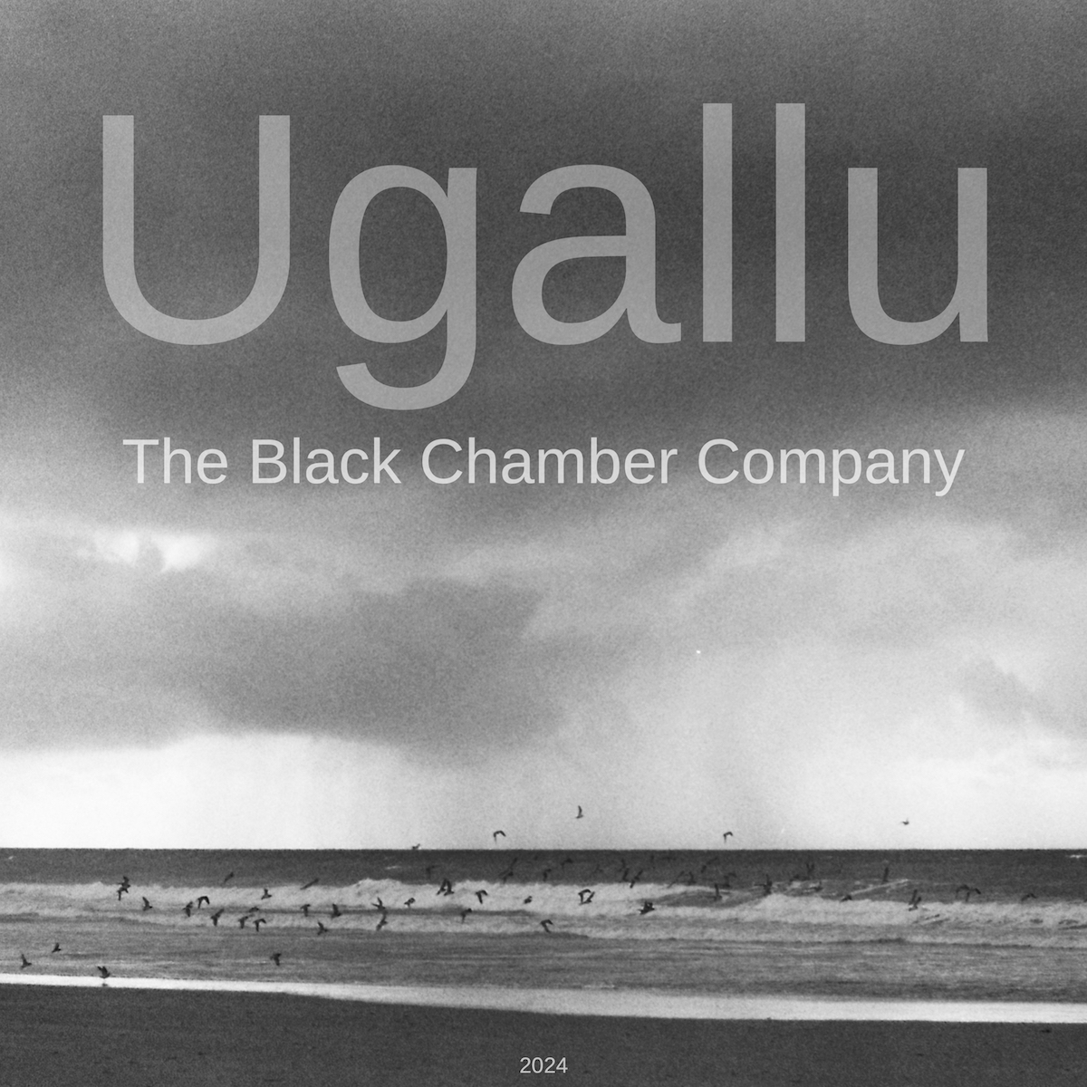 The album “UGALLU” (2024) by The Black Chamber Company.
These songs emerge from medieval mysticism, electronic futurism, Montreal in summer, Montreal in winter, the rites of the Sufis, the arcane eye, the legends of Krishna, modern babylonia, decadence, pachelbel's canon, Orpheus and the Mystery Cults, winter, the glory of neoclassicism and other matters.